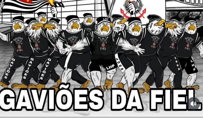 Projeto Gaviões da Fiel 13