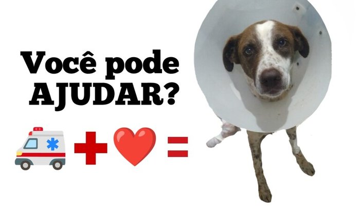 AJUDA PARA PAGAR ATENDIMENTO VETERINÁRIO 