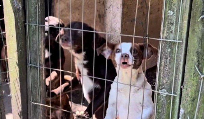 Ajude o Sítio Pedro Laredo