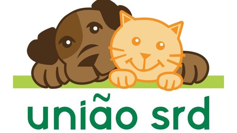 Reforma do gatil e manutenção dos cães