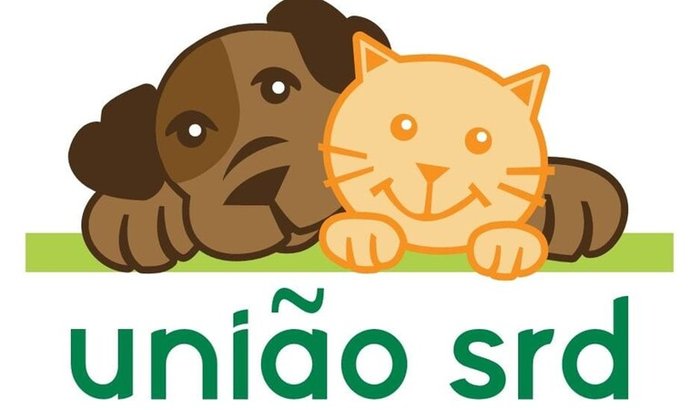 Reforma do gatil e manutenção dos cães