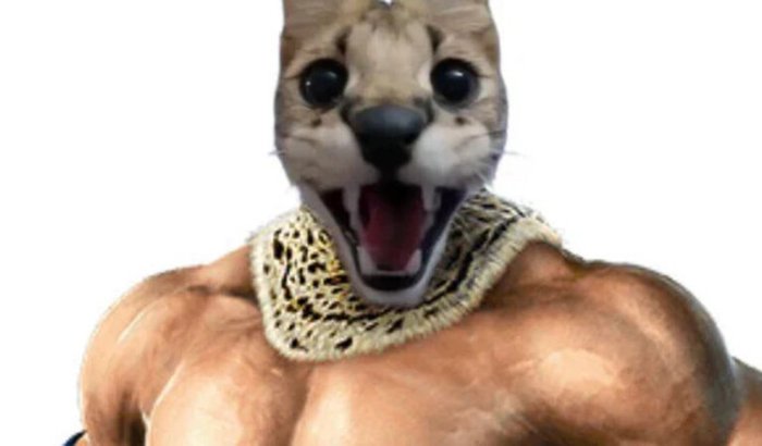 Ajuda para comprar Tekken 8 para maionesi