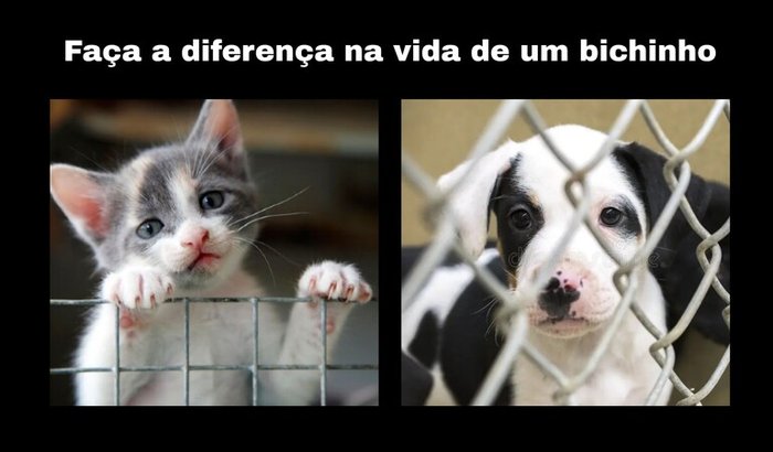 Pataforma de Adoção: Conectando pets e pessoas