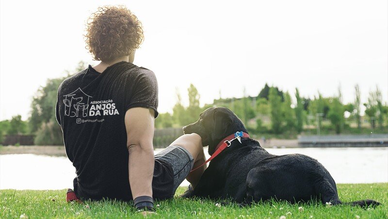 Ajude a salvar muitas vidas!