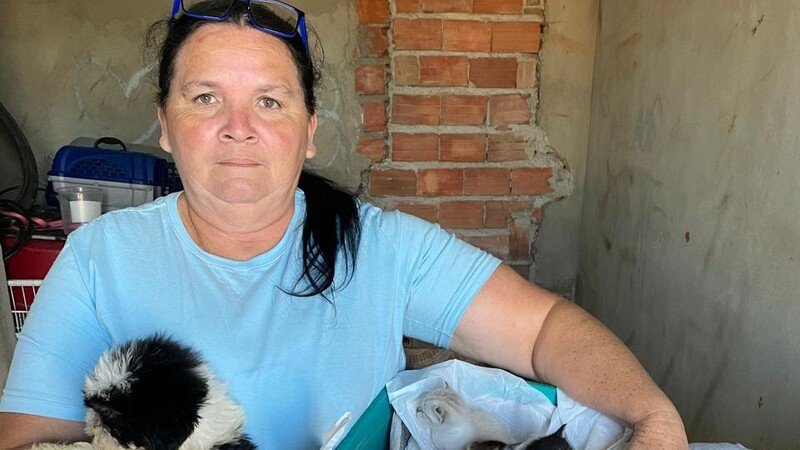 Casa abrigo da Sra Eliana - abrigo para animais no Grajaú
