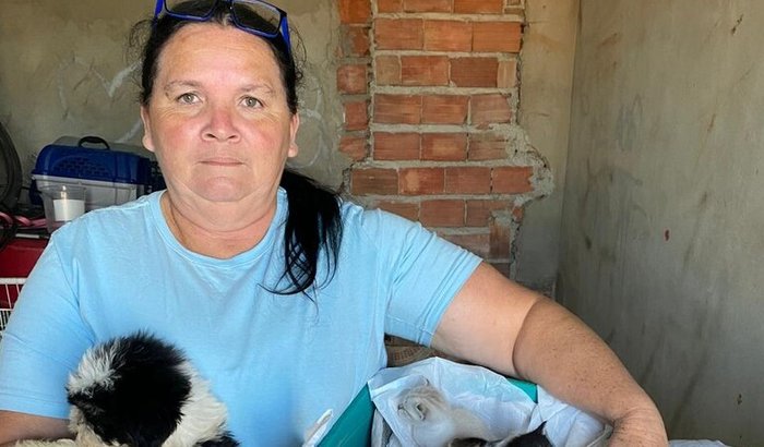 Casa abrigo da Sra Eliana - abrigo para animais no Grajaú