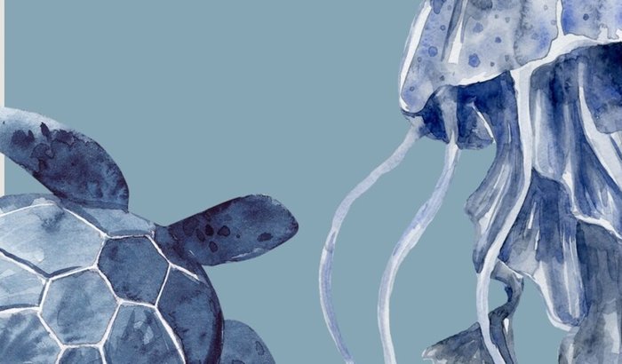 Festa de formatura 🎓