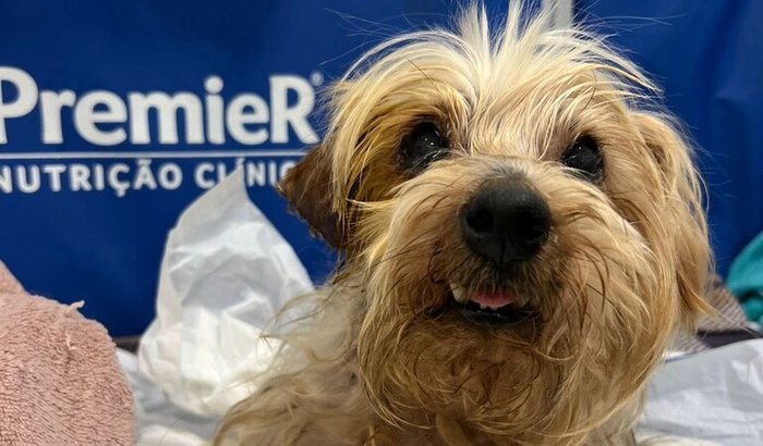 GRILO PEDE SUA AJUDA!