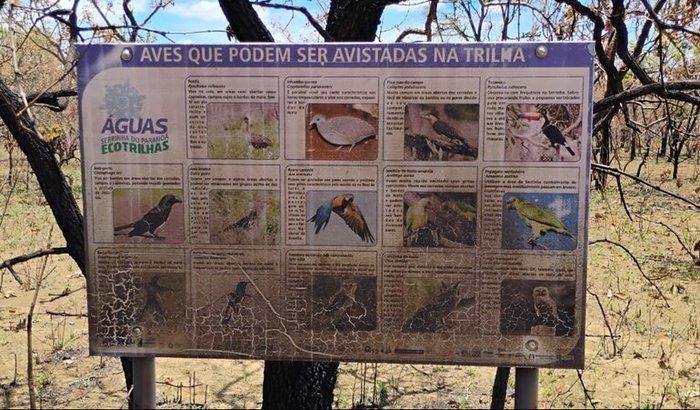 Recuperação Projeto Ecotrilhas Serrinha do Paranoá