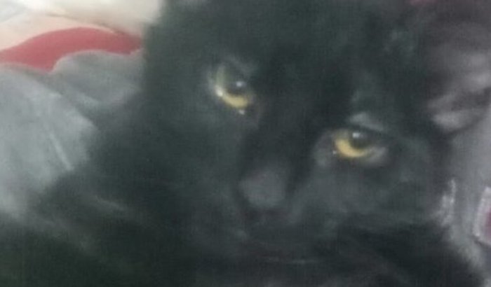 Sempre terá uma maneira de fazer o bem sem olhar a quem