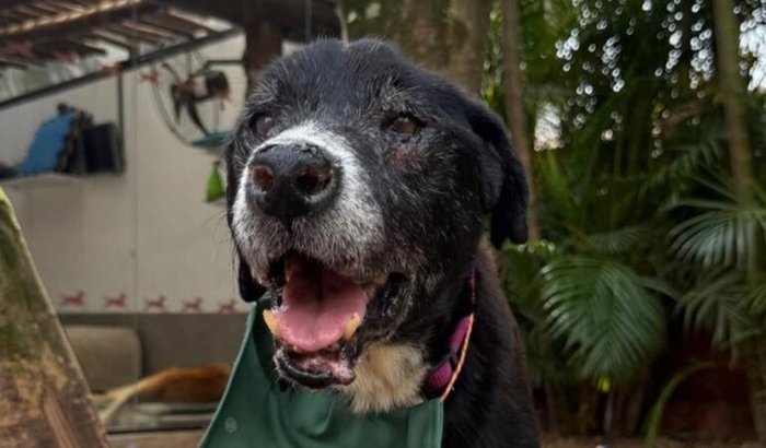 Negão: mais de 10 anos de luta, e uma última chance pra viver