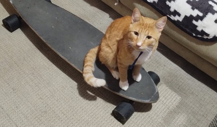 Tibério precisa da tua ajuda