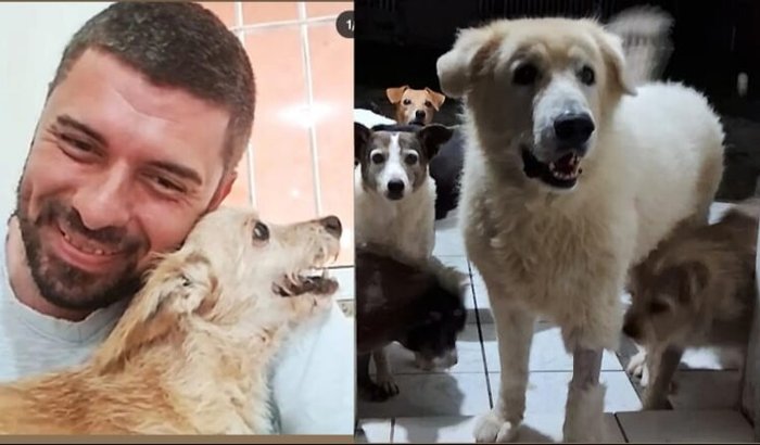 Apoie o Abrigo de cães do Juliano
