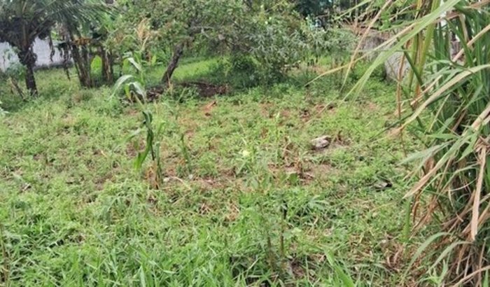 Ajuda pra fazer uma casa pra minha mãe 