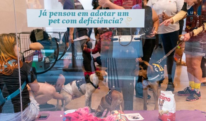 Contribua com o Instituto Cãodeirante