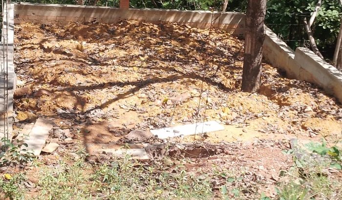 Construção de um abrigo para cães abandonado