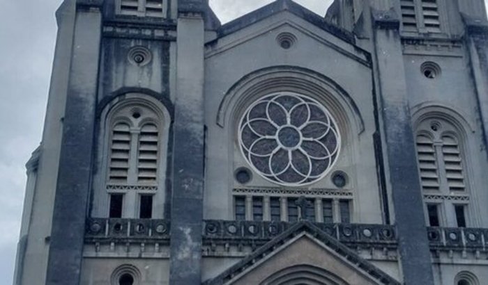 “Ajude a ONG Bando de Bichos a construir 5 novos canis e mudar vidas!”