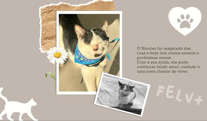 Vakinha para o tratamento do Nicolau