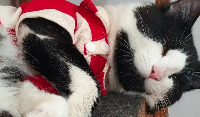 Ajude o Antônio a ficar bem! ❤️