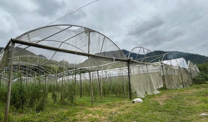 Plantando Esperança - Sítio Ventania