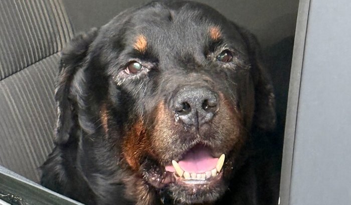 Vamos ajudar o Eurico