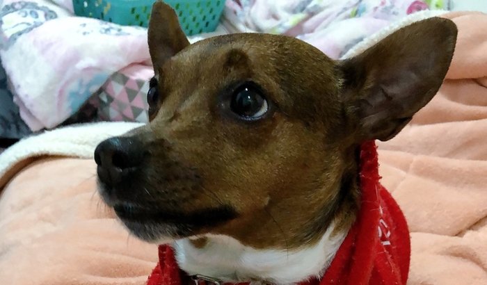 Tratamento da Vitória