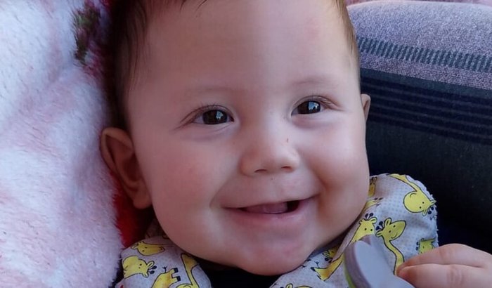 Ajude o Bernardo a realizar sua cirurgia