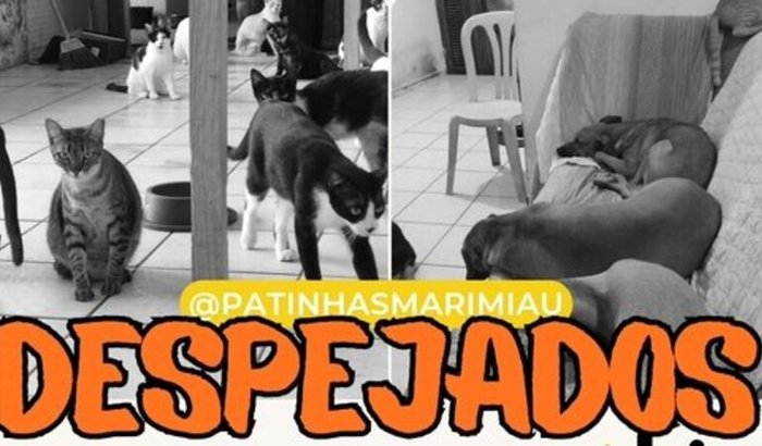 FOMOS DESPEJADOS 🆘