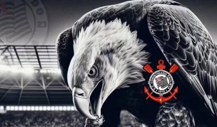 Projeto Gaviões da Fiel 16