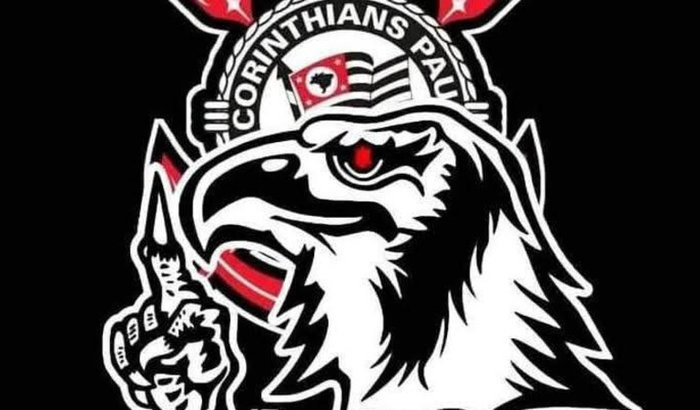 Projeto Gaviões da Fiel 17