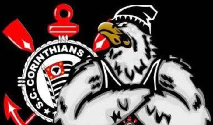 Projeto Gaviões da Fiel 18