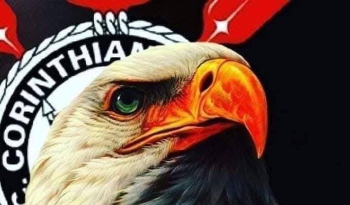 Projeto Gaviões da Fiel 19