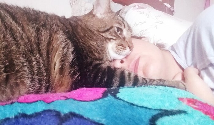 Ajuda para meu Helinho 😿🙏🏻🆘 URGENTE