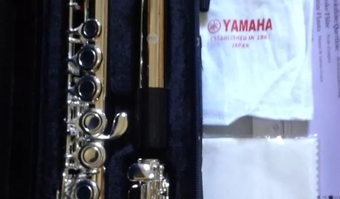 Flauta transversal / att: roubaram minha flauta transversal 