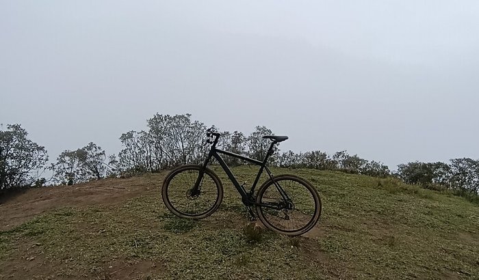 Ajuda para comprar Downhill bike