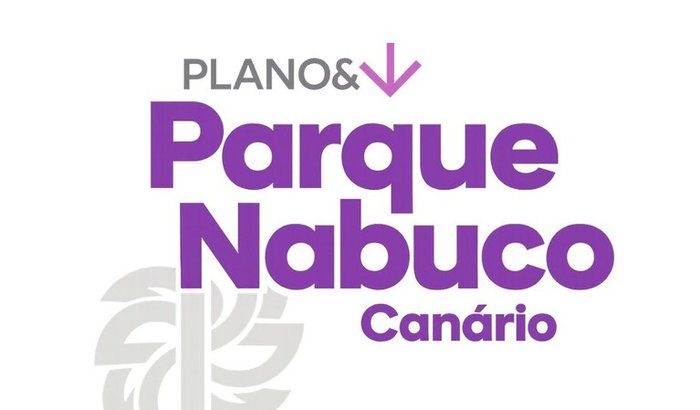 Equipe Terceirizada - Plano Nabuco