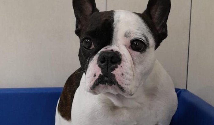 Ajuda urgente para Lilo