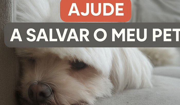 “Ajude a salvar o meu pet — Ele precisa de cuidados veterinários urgentes”