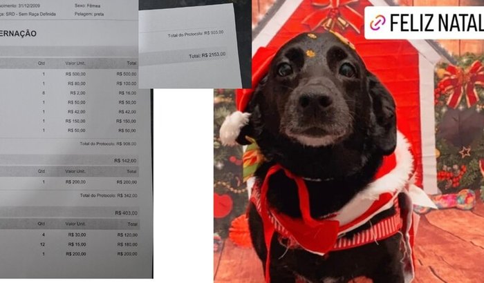 ajuda no tratamento da pipoca