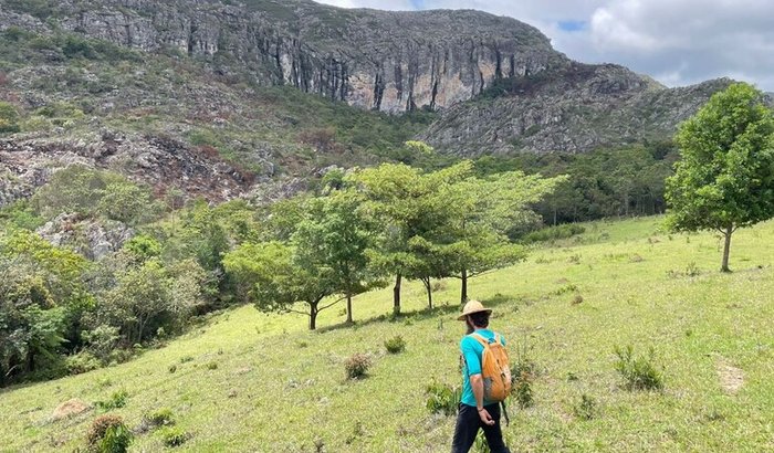 Milho Verde Mil Vias