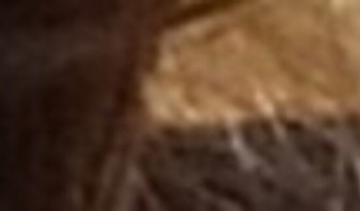 Ajuda para Allice Thais 13 anos realizar um sonho prova de 3 tambores