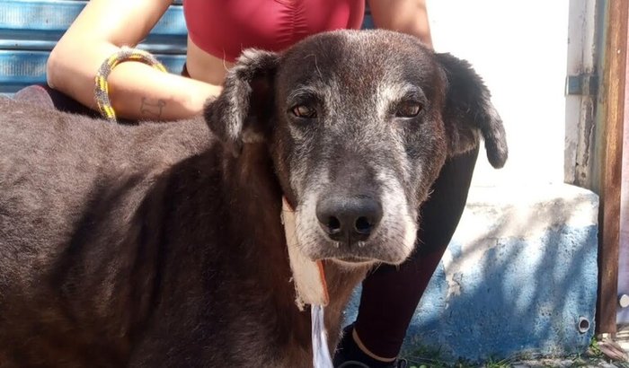 Nosso Darth virou um anjinho