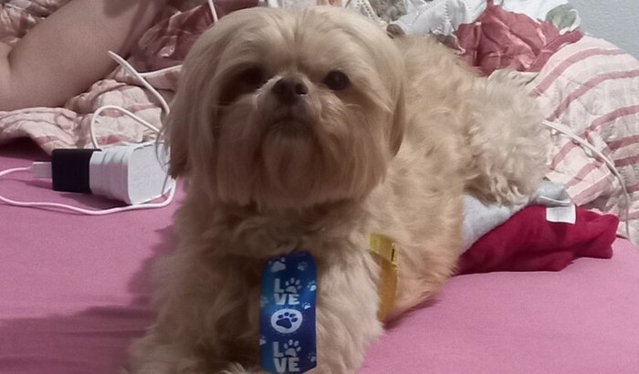 Ajude o Tomaz a fazer a cirurgia