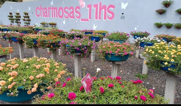 Ajude a reescrever essa história