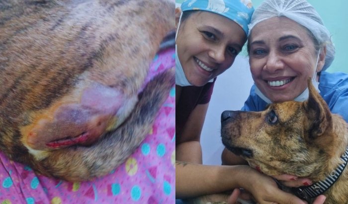 Ajude a custear as despesas do Malhado na Clinica.