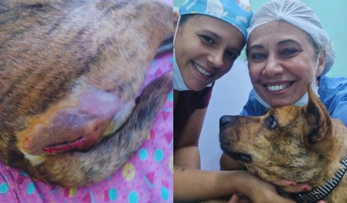 Ajude a Quitar a divida do Malhado na clínica