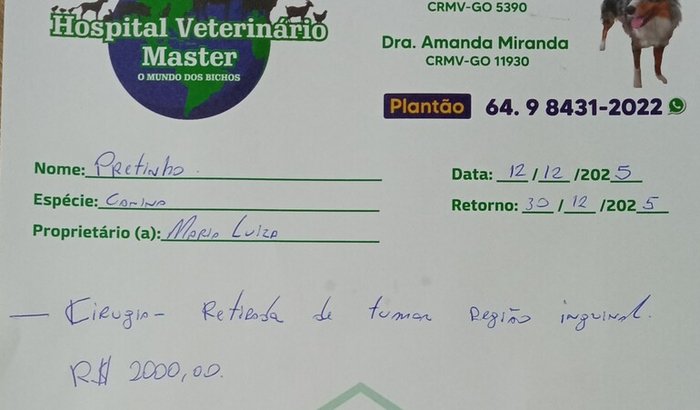 Cirugia Tumor Pretinho 🐶🙏🏻❤️