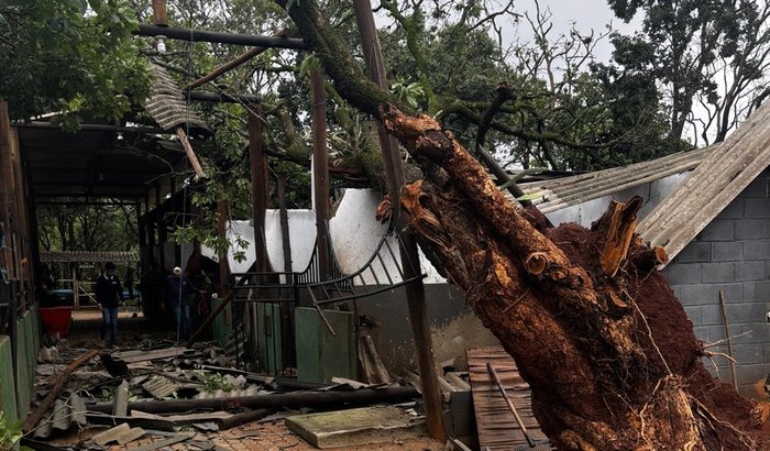 Ajuda com a reconstrução do pavilhão do Kim