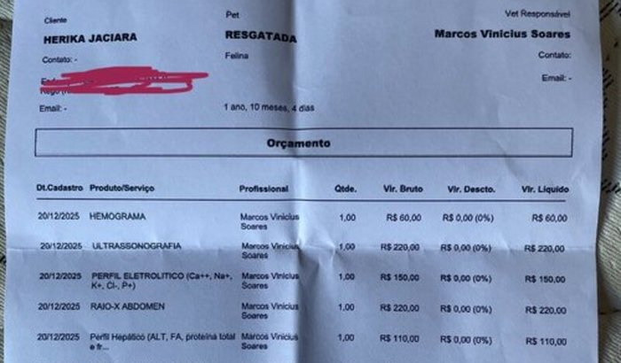 Entre a dor e a vida