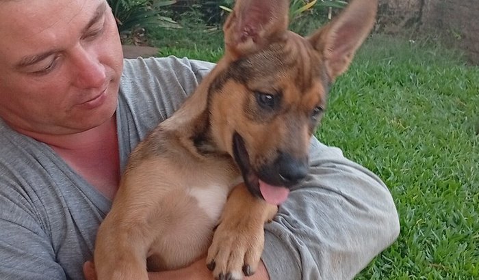 Ajude a salvar a Peppa